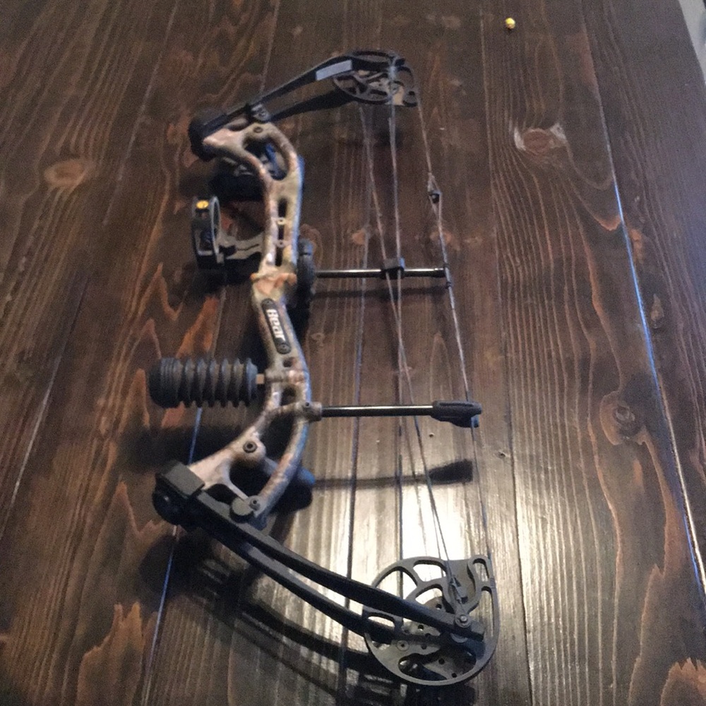 Bear apprentice three bow